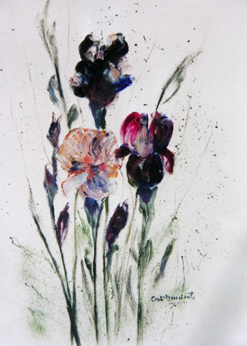 Irises
#1303